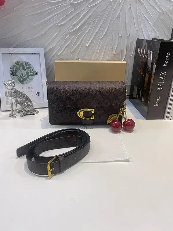 شنطة كوتش سمول سايز شنط وحقائب coach bags