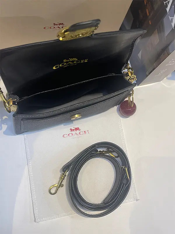 شنطة كوتش سمول سايز شنط وحقائب coach bags