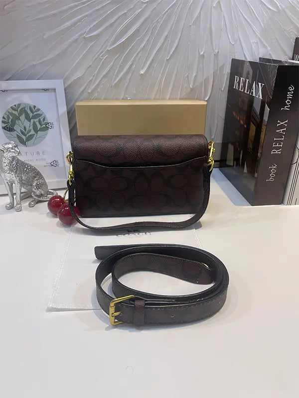 شنطة كوتش سمول سايز شنط وحقائب coach bags