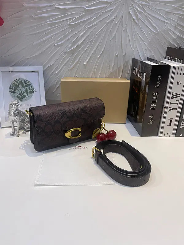 شنطة كوتش سمول سايز شنط وحقائب coach bags