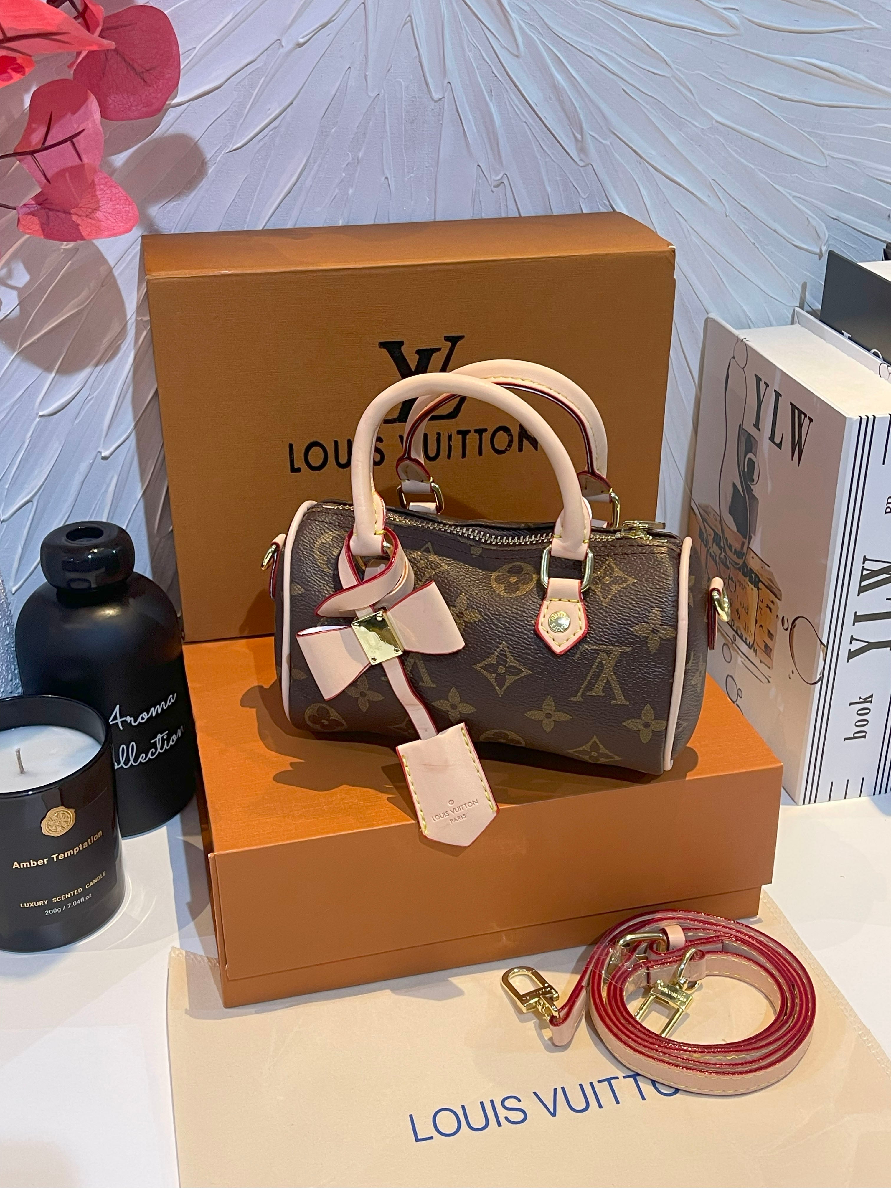 شنطة لويس فيتون صغيره انيقة شنط وحقائب louis vuitton bags