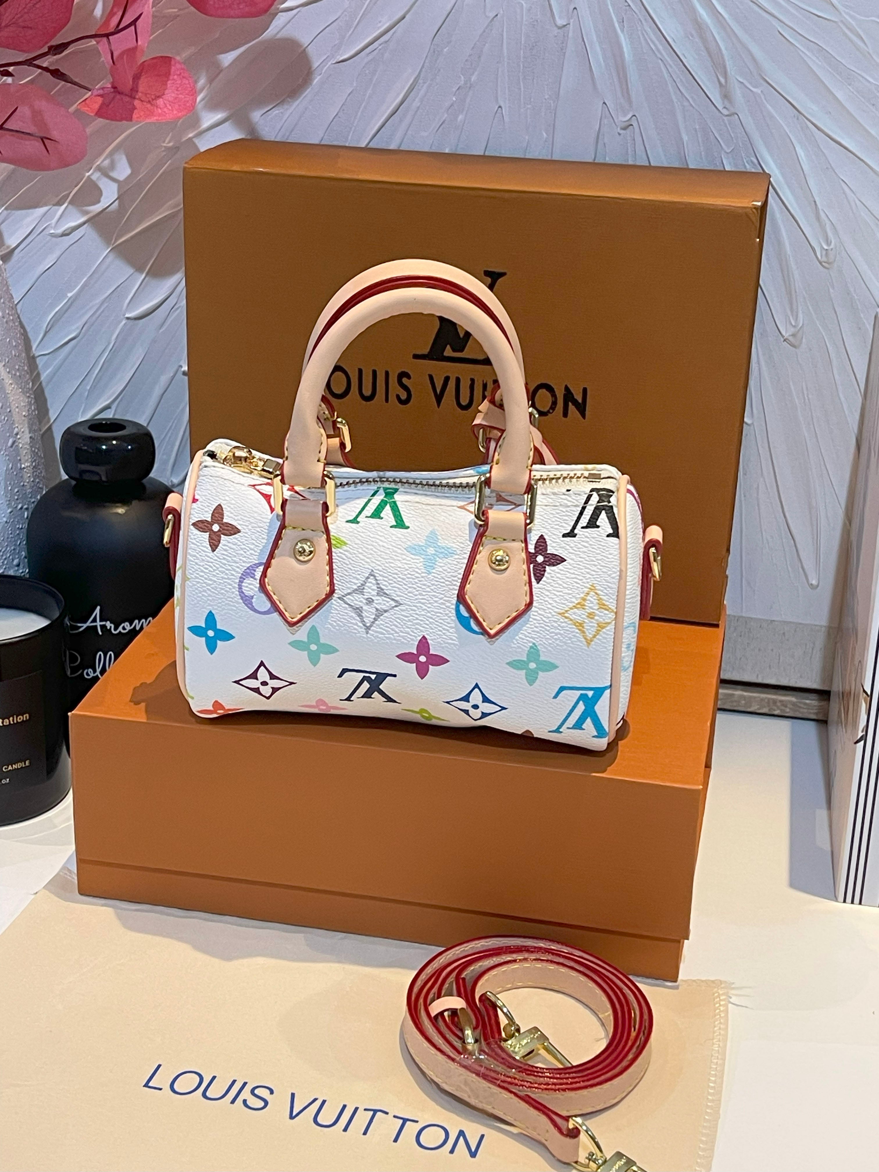 شنطة لويس فيتون صغيره انيقة شنط وحقائب louis vuitton bags