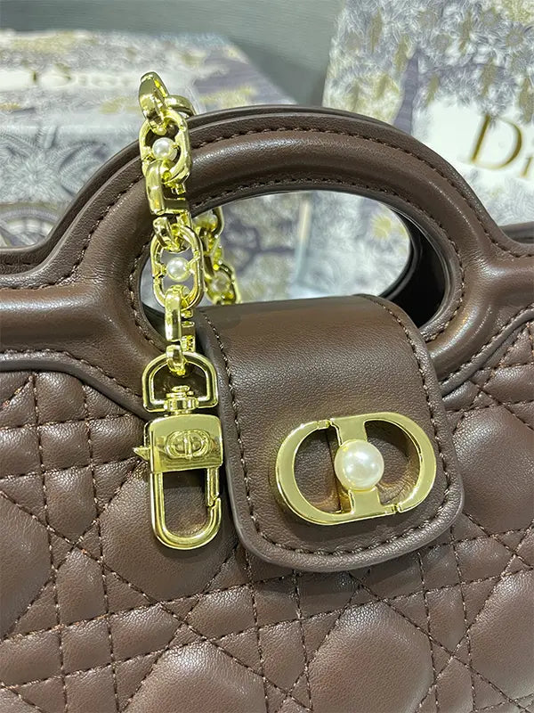شنطة ديور جولي ميني الماستر شنط وحقائب dior bags