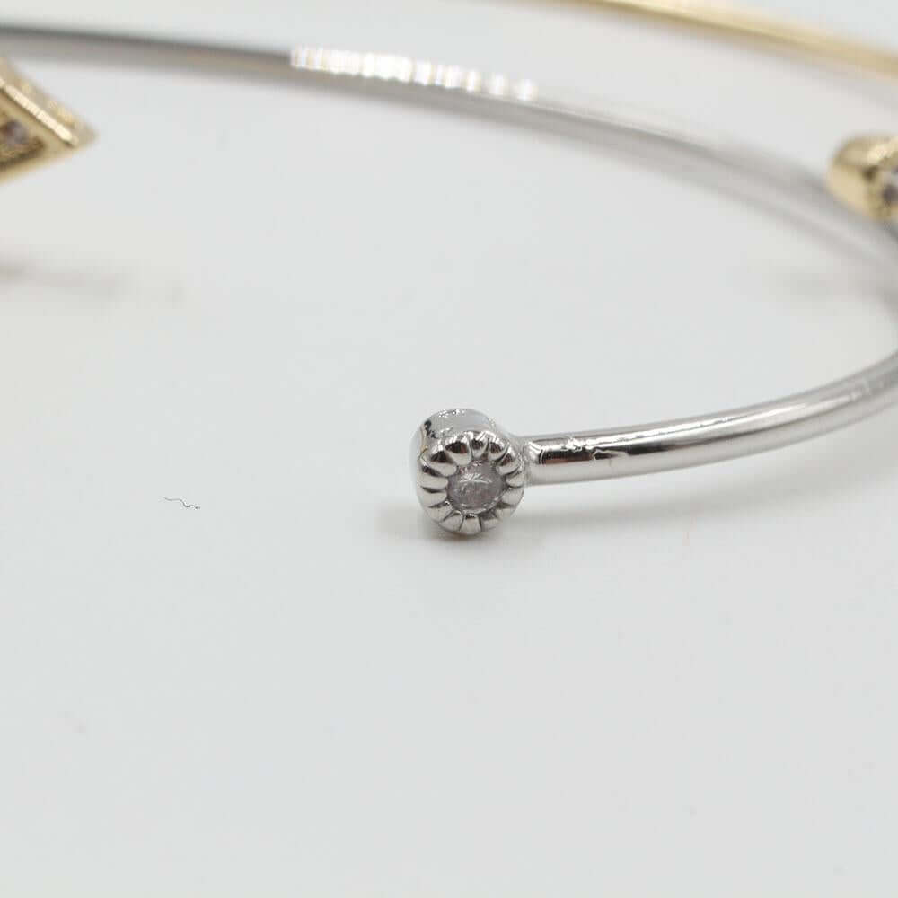 اسواره بانقل كارتير اسواره متوفر 2 لون