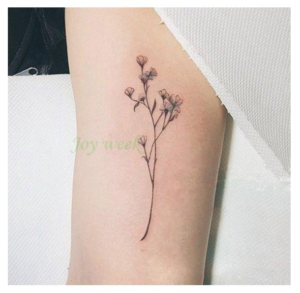 تاتو الغصن تاتوو متوفر 1 لون