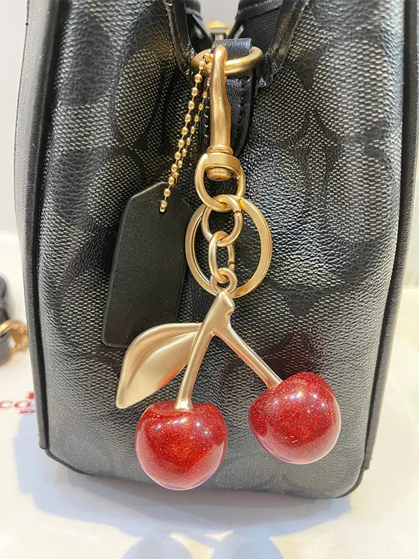 شنطة كوتش بالوان متعدده شنط وحقائب coach bags