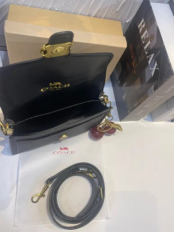 شنطة كوتش سمول سايز شنط وحقائب coach bags