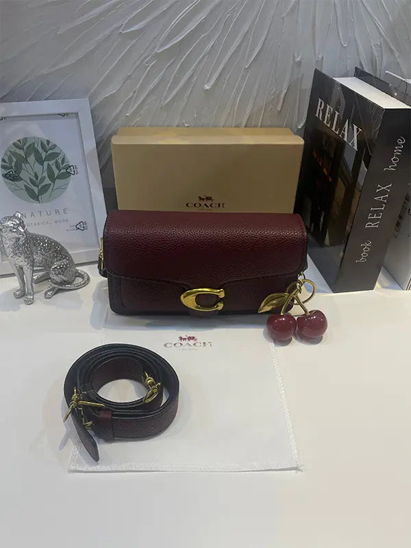 شنطة كوتش ريقيلور سمول سايز شنط وحقائب coach bags