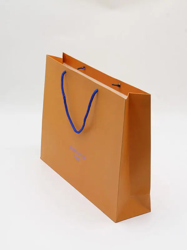 كيس لويس فيتون هدايا louis vuitton bags