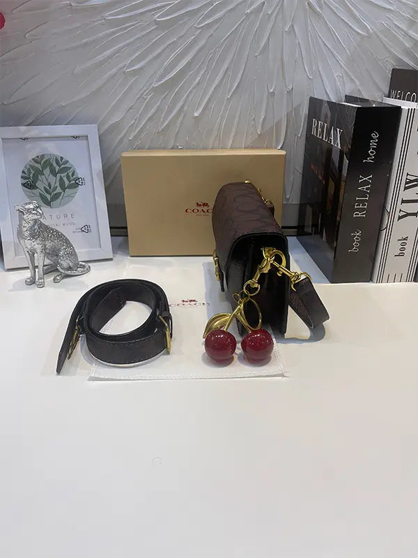 شنطة كوتش سمول سايز شنط وحقائب coach bags