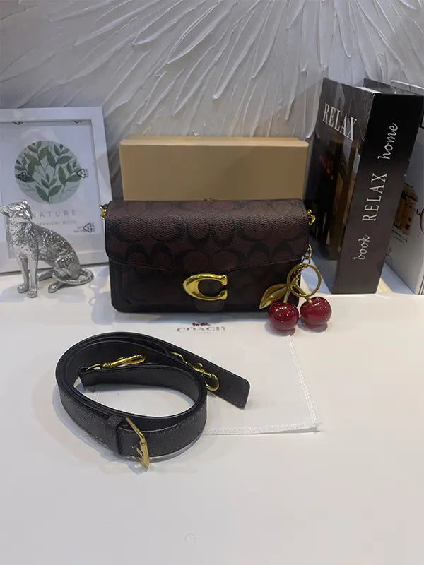 شنطة كوتش سمول سايز شنط وحقائب coach bags