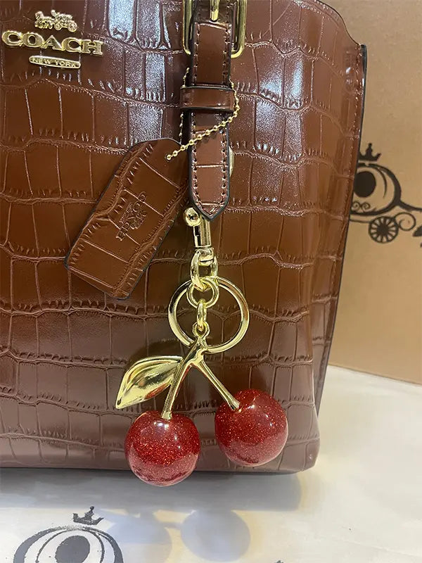 شنطة كوتش كبيره ماستر الجديدة شنط وحقائب coach bags