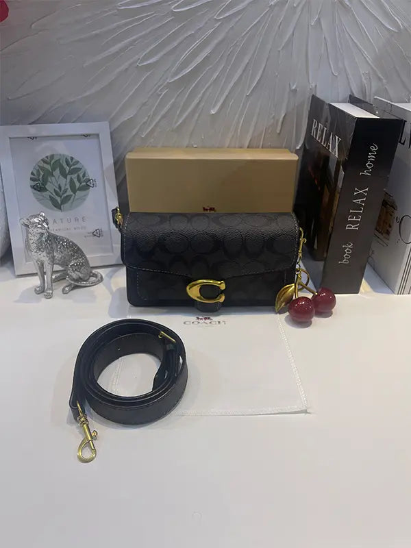 شنطة كوتش سمول سايز شنط وحقائب coach bags