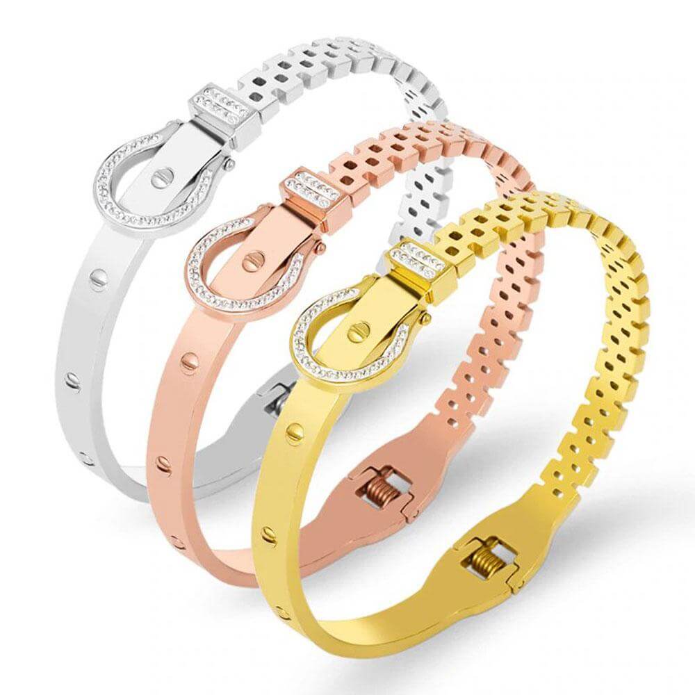 اسواره اقنر بانقل ميتال اسواره aigner  